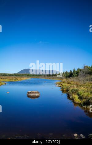 Tom Bog pigro con Katahdin in background al Baxter state Park in una mattina presto autunno Foto Stock