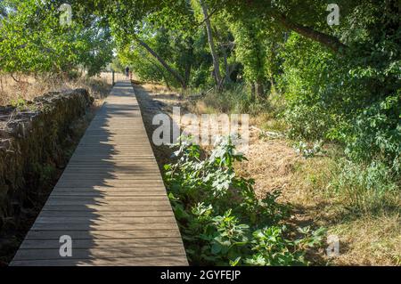 Fiume Gevora, la Codosera, Badajoz, Estremadura, Spagna. Uomo anziano che cammina in passerella con il nipote Foto Stock