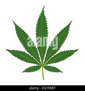 Cannabis leaf isolati su sfondo bianco. Silhouette di marijuana. Illustrazione Vettoriale. Foto Stock