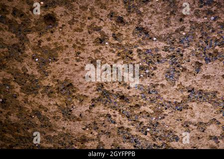 Texture di roccia in grotta bloccato con centinaia di penny Foto Stock