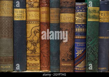 Scaffale di vecchi libri in pelle su scaffale Foto Stock