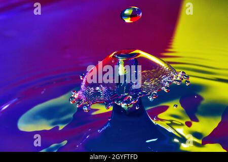 Goccia d'acqua circa per colpire un fungo d'acqua su superficie viola e gialla Foto Stock