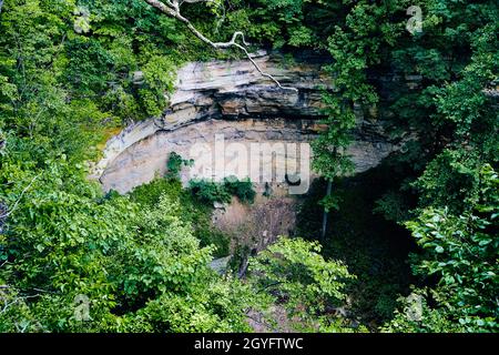 Vista di un grande canyon asciutto circondato da alberi verdi Foto Stock