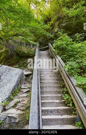 Peace e Instagram scalinata in pietra che salendo in un verde sentiero forestale Foto Stock