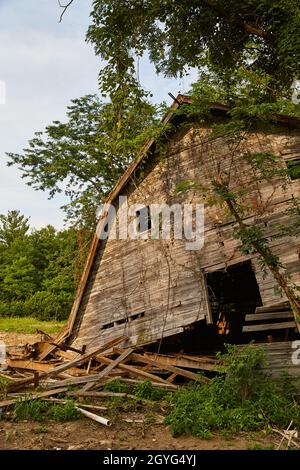 Fienile abbandonato caduto e decaduto in una foresta Foto Stock