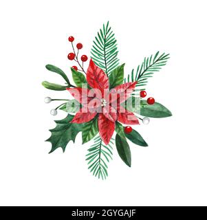 Acquerello composizione di Natale piante, poinsettia rossa, agrifoglio e pino, isolato su sfondo bianco. Foto Stock