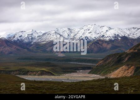 Ruscelli di meandering trasportano la fusione del ghiacciaio dalle cime della GAMMA DELL'ALASKA attraverso la tundra - PARCO NAZIONALE DI DENALI, ALASKA Foto Stock