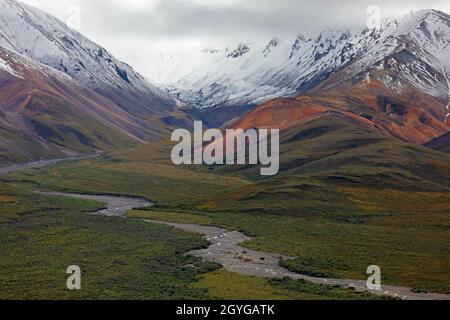 Ruscelli di meandering trasportano la fusione del ghiacciaio dalle cime della GAMMA DELL'ALASKA attraverso la tundra - PARCO NAZIONALE DI DENALI, ALASKA Foto Stock