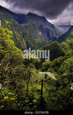 La cascata e paesaggio nuvoloso a valle Takamaka, Isola di Reunion Foto Stock