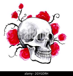 Cranio umano e rose rosse. Disegno con inchiostro e acquerello Foto Stock