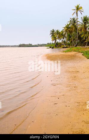 BENIN, MONO, GRAND-POPO, CRAB ISLAND Foto Stock