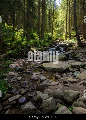 Piccolo fiume che scorre rapidamente e vividamente attraverso la sua valle rocciosa selvaggia Foto Stock