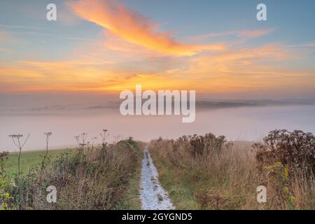 La mattina presto appena prima dell'alba sul South Downs guardando giù lungo il South Downs Way verso Amberley e Houghton da Bury Hill Foto Stock