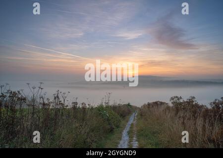 La mattina presto appena prima dell'alba sul South Downs guardando giù lungo il South Downs Way verso Amberley e Houghton da Bury Hill Foto Stock