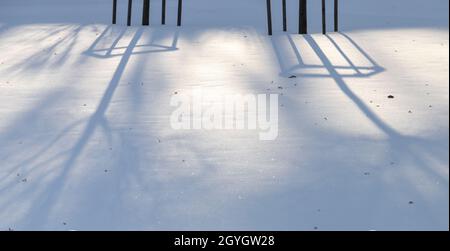 Sfondo naturale con parco invernale. Le ombre degli alberi si stendano sulla neve in una giornata di sole Foto Stock