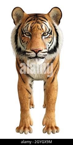 Gattino selvatico grande, tigre rossa, illustrazione 3D con rendering digitale.