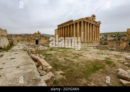 LIBANO, BAALBEK-HERMEL, ANTICA CITTÀ DI BAALBEK ANTICA ELIO DEI ROMANI PATRIMONIO DELL'UMANITÀ DALL'UNESCO, TEMPIO DI BACCO Foto Stock