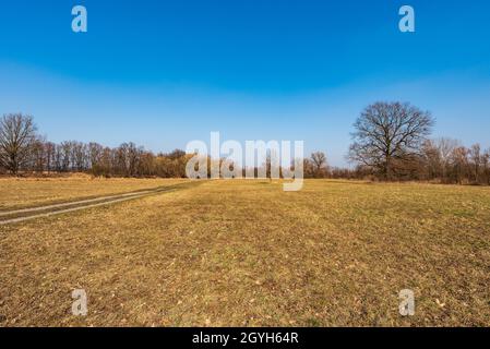 Prima primavera CHKO Pooodri tra Kosartka e Polanka nad Odrou in Repubblica Ceca con prati, alberi e cielo limpido Foto Stock