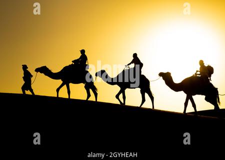 Una carovana di cammelli con turisti si muove attraverso le dune del deserto del Sahara al tramonto Foto Stock