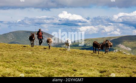 Pastore rumeno nei carpazi Foto Stock