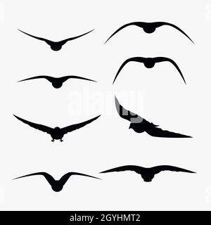 silhouette flying birds in bianco Illustrazione Vettoriale