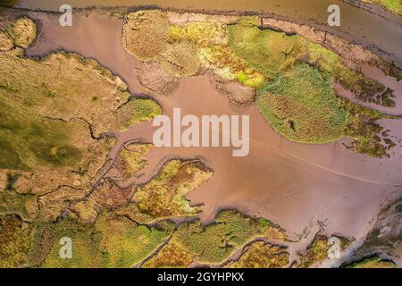 Top Downe vista di Tidal Creek a River Teign da un drone, Newton Abbot, Devon, Inghilterra Foto Stock