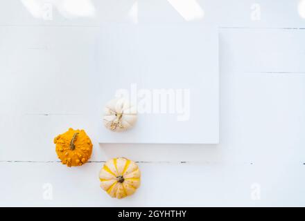 Cornice vuota con decorazioni autunnali in zucca su sfondo bianco in legno. Thanksgiving composizione minima di posa piatta. Casa accogliente pulito design vacanza. T Foto Stock