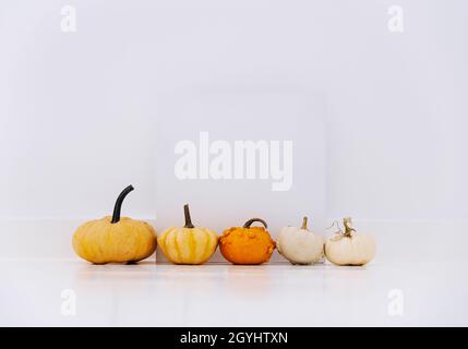 Cornice vuota con decorazioni autunnali in zucca bianca. Thanksgiving composizione minima di posa piatta. Accogliente casa pulito vacanza sfondo. Foto Stock