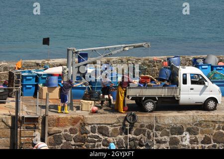 La famiglia aiuta a scaricare i granchi da piccola barca da pesca di giorno Foto Stock