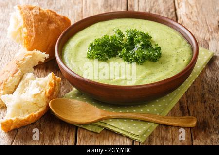 Semplice zuppa di crema vitaminica fatta da cavolo kale primo piano in una ciotola sul tavolo. Orizzontale Foto Stock