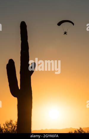 Un paracadute o PPC alimentato vola vicino a Quartzsite, Arizona al tramonto con il cactus saguaro in primo piano. Foto Stock