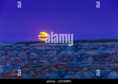 Un primo piano della Harvest Moon che si innalza sopra le Badlands del Dinosaur Provincial Park il 20 settembre 2021. Si tratta di un'unica sezione di 0.8 Foto Stock