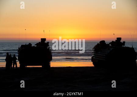 U.S. Marines con 3rd Battaglione anfibio Assault Amphibian, 1st Marine Division, smontare i loro veicoli anfibi d'assalto AAV-P7/A1, durante L'Esercizio Iron Fist 2020 sul campo base del corpo Marino Pendleton, California, 23 gennaio. Iron Fist è un esercizio annuale di formazione bilaterale tra le forze statunitensi e giapponesi che costruisce la loro capacità combinata di condurre operazioni di emergenza anfibie e terrestri. (STATI UNITI Foto del corpo marino di Lance Cpl. Thomas Spencer) Foto Stock