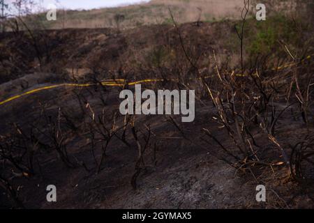 La vegetazione bruciata può essere vista vicino Cristianitos e Basilone strade a bordo del corpo Marino base Camp Pendleton, California, 30 gennaio 2020. Il Dipartimento dei vigili del fuoco di Camp Pendleton e l'autorità dei vigili del fuoco della contea di Orange hanno risposto a entrambi gli incendi da una notte all'altra. Gli incendi bruciavano ciascuno circa un ettaro e causavano il ritorno del traffico lungo l'Interstate Highway 5. (STATI UNITI Foto del corpo marino di CPL. Dylan Chagnon) Foto Stock