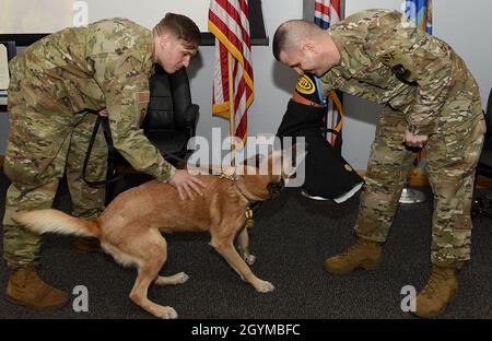 Yyogi, un cane da lavoro militare delle forze di sicurezza 48th Squadron, ottiene il suo ultimo morso sul giorno. Kevin Eberhart, 48th comandante SFS, durante la sua cerimonia di pensionamento alla Royal Air Force Lakenheath, Inghilterra, 30 gennaio 2020. Durante i suoi 10 anni di servizio, Yyogi ha completato otto missioni del Servizio Segreto degli Stati Uniti a Londra, Grecia, Irlanda e Portogallo. Fu anche dispiegato in Turchia nel 2016. (STATI UNITI Air Force Photo/ Airman 1° Classe Jessi Monte) Foto Stock