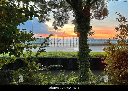 Alba dietro le serre. Westland è questa zona chiamata nei Paesi Bassi. È conosciuta per la sua enorme produzione di verdure in houses. Foto Stock