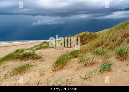 Paesaggio delle dune, spiaggia, nuvole di tempesta scura, autunno sul Mare del Nord in Olanda del Nord, tra le città di Egmond aan Zee e Bergen aan Zee, Paesi Bassi Foto Stock