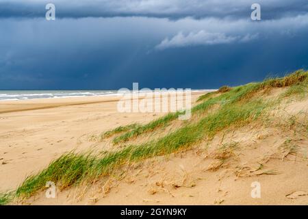 Paesaggio delle dune, spiaggia, nuvole di tempesta scura, autunno sul Mare del Nord in Olanda del Nord, tra le città di Egmond aan Zee e Bergen aan Zee, Paesi Bassi Foto Stock