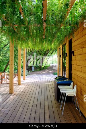 Il baldacchino è stato coltivato con piante verdi, con un bel paesaggio di bar all'esterno. Moderno design paesaggistico del tetto della casa e cortile. Giardino accogliente con legno Foto Stock