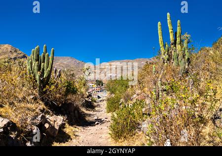 Rovine pre-inca a Chivay in Perù Foto Stock