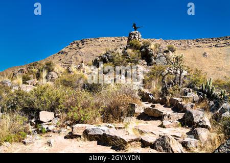 Rovine pre-inca a Chivay in Perù Foto Stock