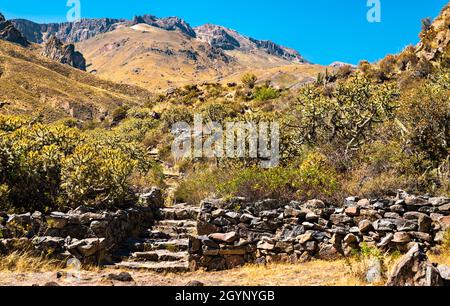 Rovine pre-inca a Chivay in Perù Foto Stock