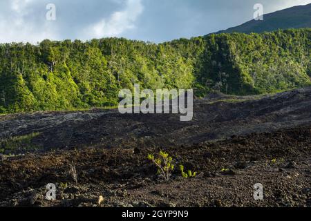 Vecchio cratere del vulcano Fournaise a Reunion Island vicino alla costa Foto Stock