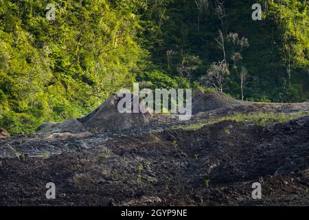 Vecchio cratere del vulcano Fournaise a Reunion Island vicino alla costa Foto Stock