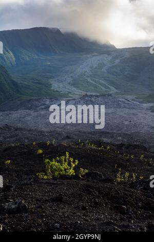 Vecchio flusso di lava del vulcano Fournaise a Reunion Island vicino alla costa Foto Stock