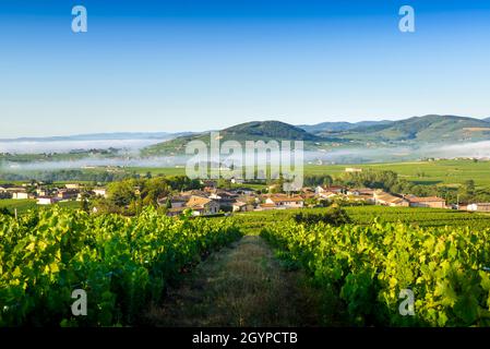 Le Mont Brouilly, et les Villages de Cercié et Morgon, Beaujolais, Francia Foto Stock