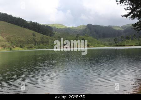 Madre della natura crea tutto per noi Foto Stock