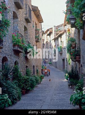 CALLE EMPEDRADA TIPICA CON PLANTAS EN LAS FACHADAS. Ubicazione: ESTERNO. Ainsa. HUESCA. SPAGNA. Foto Stock