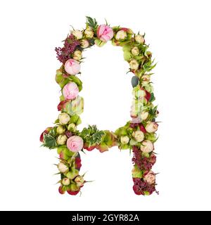 Lettera maiuscola parte di un insieme di lettere, numeri e simboli dell'alfabeto realizzato con fiori, rami e foglie su sfondo bianco Foto Stock