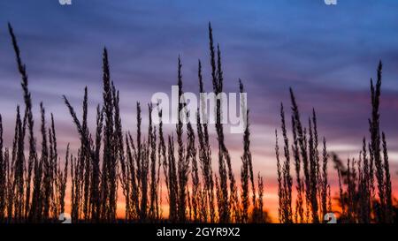 Tramonto in autunno Foto Stock